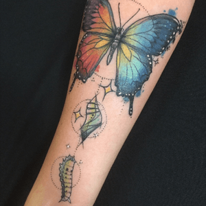 Butterfly watercolor metamorphosis 💖