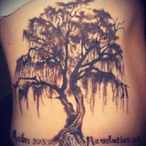#megandreamtattoo I have really been wanting to get a tree of life or live iak tree tattoo with spanish moss for some time to honor the baby i lost to miscarriage as well as my living children and family. I want something like this without the bible verses. I would love a tattoo artist to take this idea and "run with it." I want to get something original that has meaning and by an artist that is passionate about tree or nature tattoos or miscarriage tattoos.