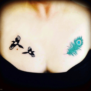 Feather tattoo, magpies tattoo, mini tattoo, delicate tattoo