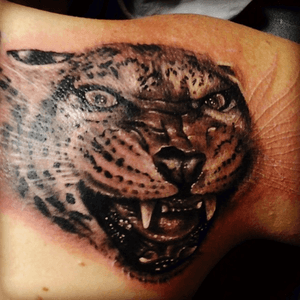 This was one of my favorites done by James Haun. He captured her perfdct from my photos. It is a portrait of one of many leopards I have saved and raised. James #leopardtattoo #blackandgreytattoo #animaltattoos #jameshaun 