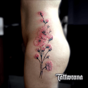 #tattoorana #alextakahashi #sakura #flowertattoo 