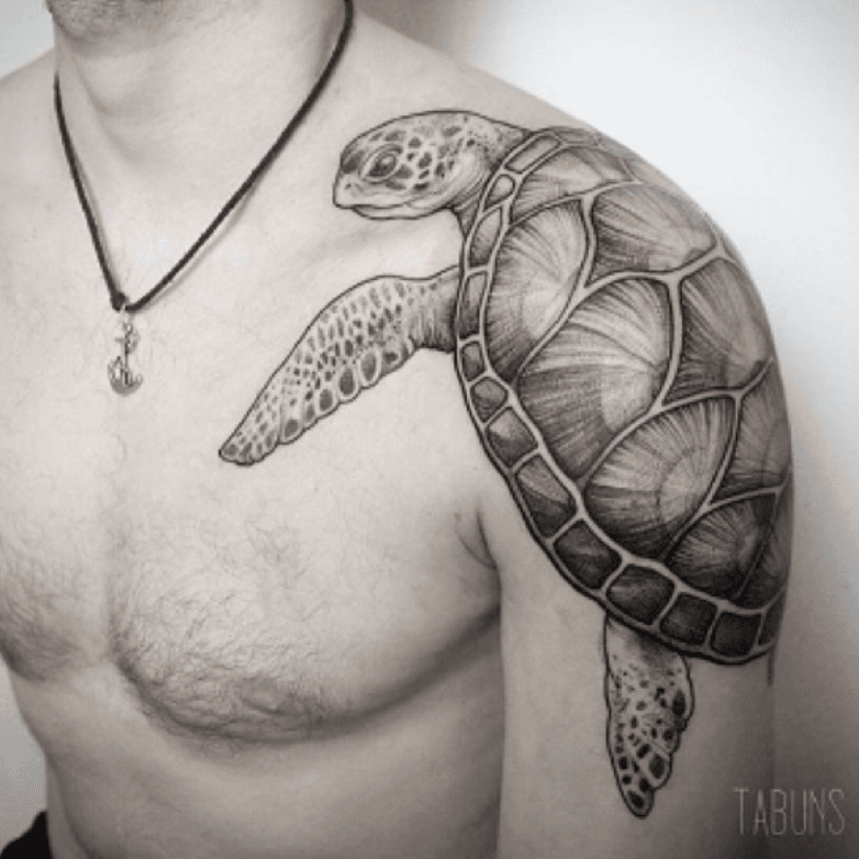 50 Top Turtle Tattoo Designs The Symbolism Behind Turtle Body Art   Saved Tattoo