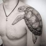 #turtle #blackandgrey - excellent #bodyplacement - #tattoo by #artist #Tabuns @alex_tabuns 