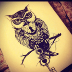 I love this one #owl #wise #blackandgray 
