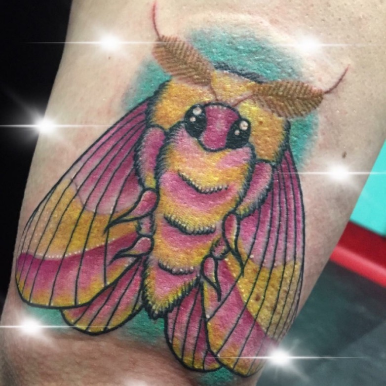 Buy Pink Moth Tattoo Moth Temporary Tattoo Temporary Tattoo Online in India   Etsy