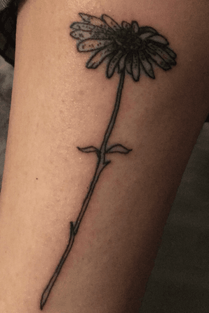 A daisy for my mother