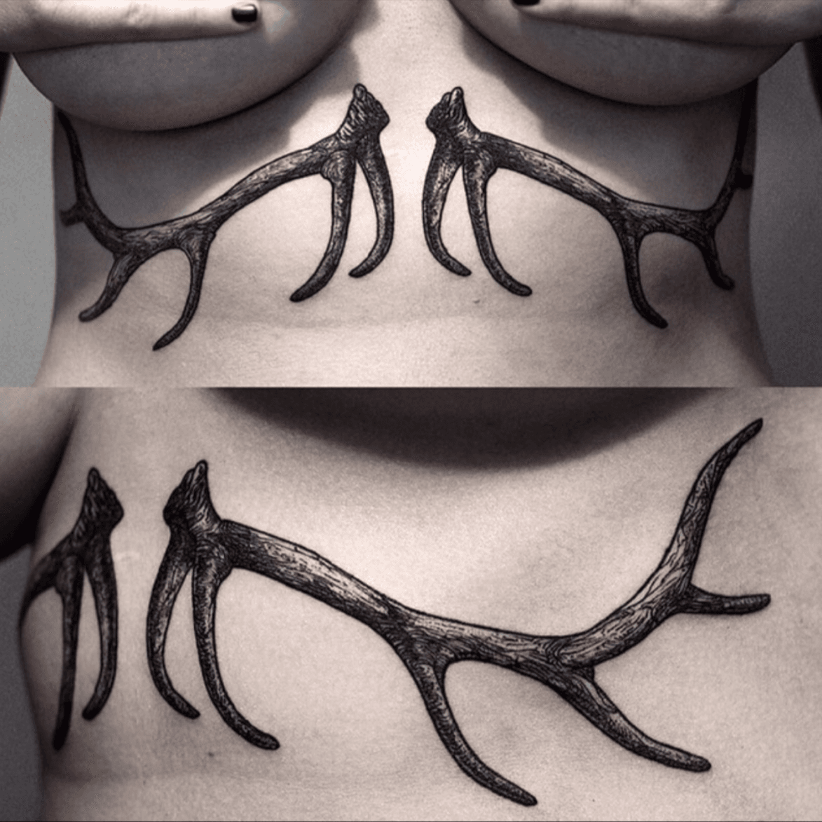 70 Antler Tattoo Designs For Men  Cool Branched Horn Ink Ideas