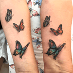 Realism Butterflies 