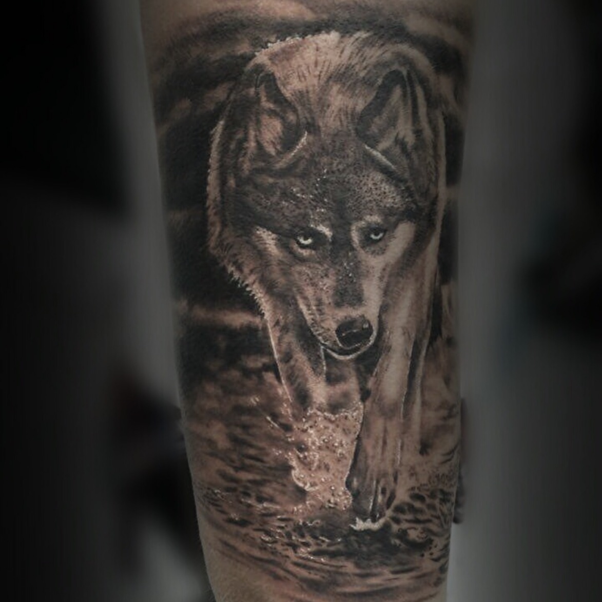 Tattoo uploaded by Mutluer wolf tattoos Tattoodo inked