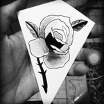 Rose #desenho#desenhos 