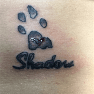 Day one tattoo for my fur baby RIP 