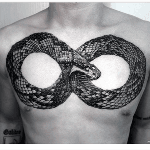 Wow! Love this! Location, size, details. Very cool #snake #chesttattoo #animals 