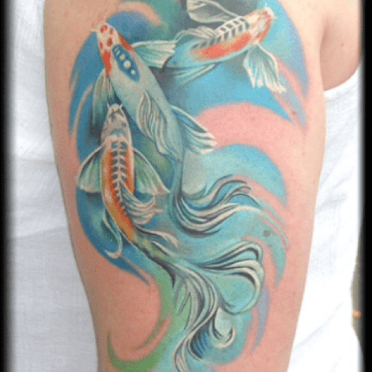 Tattoo uploaded by Bindy • guppy guppies fish color 