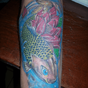 Cover up koi