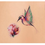 I love the #tattoostyle #hummingbird #floraltattoo #colourtattoo #megandreamtattoo #meganmassacredreamtattoo #megandreamtattoo 