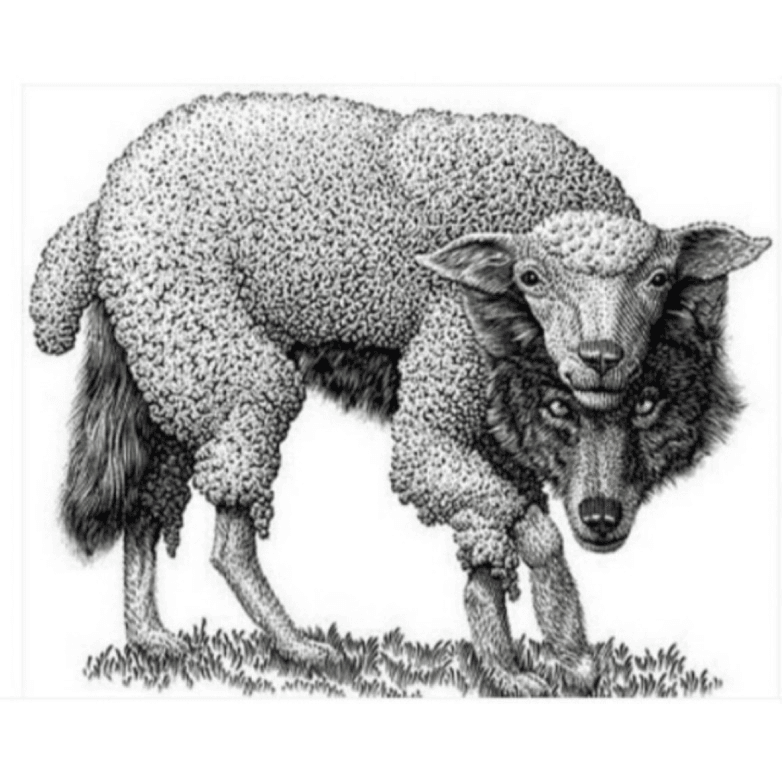 black sheep a wolf in sheeps clothing