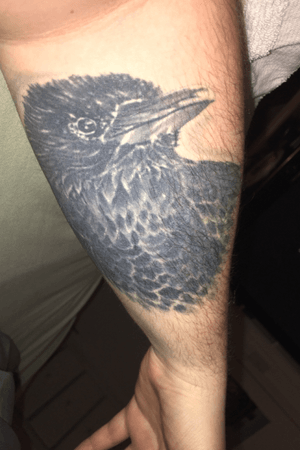 Dark Raven tat with a bit of purple 