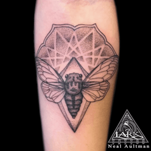 Tattoo by Lark Tattoo artist Neal Aultman. See more of Neal's work here: http://www.larktattoo.com/long-island-team-homepage/neal-aultman/ #cicada #cicadatattoo #geometrictattoo #cicadamandala #bugtatt #mandalatattoo #blackwork #dotworktattoo #linesanddots #forearmtattoo #tattoo #tattoos #tat #tats #tatts #tatted #tattedup #tattoist #tattooed #tattoooftheday #inked #inkedup #ink #tattoooftheday #amazingink #bodyart #tattooig #tattoosofinstagram #larktattoo #larktattoos