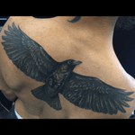 #raven #flying by ANDREANA VERONA @andreanaverona #supernovatattoo #supernovatattoonyc #astoria #astorianyc #queens #blackandgreytattoo #black #backpiece #feathers #deadcenter #newyork #nyctattoo #nyc #tattoo #tattoos #tatuaje #tattooing #tattoostudio 