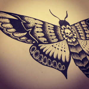 Drawing of a death head moth