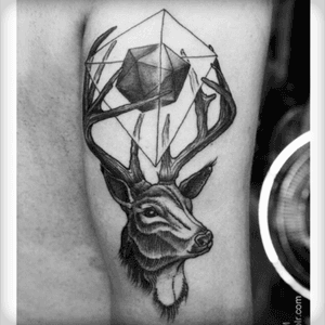 #deer #geometric this deer knows whats good, he knows 