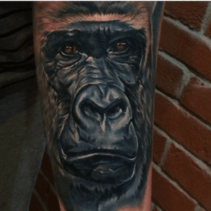 By Jordan Croke #ape #gorilla #blackwork #realistic 