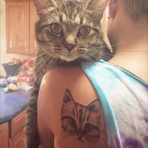 Love this photo a client sent of her #cat checking out her new #petportrait! (PSA: this was not taken in the shop, unfortunately our furry friends are not allowed!) #axysrotary #gettattedbyizzy #newhavencountytattoo