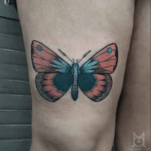 By Mo, Done at Mojito Tattoo, Toulouse, France. www.mojitotattoo.com #tattoo #toulouse #mojitotattoo #butterflytattoo #papillon #colortattoo 
