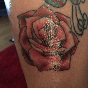 A little rose
