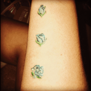 The progression of a blooming rose. Done by me, on someone else. 