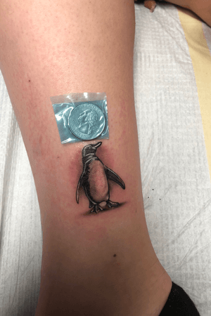 Micro penguin