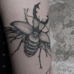 Hieronymus Dóch Tattoo #insect #insecttattoo #dotwork #dotworktattoos #blackwork #blackworktattoo #HieronymusDóch #hd #394