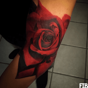 Artist #fibs #rose #redrose #flowers 