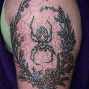 Spider and juniper by Kristen Holliday of Wonderland Tattoo in Portland, OR. #dreamtattoo #dreamartist #floraltattoo #insecttattoo 