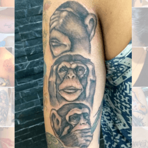 Three wise monkeys! #seenoevil #hearnoevil #speaknoevil #seenoevilhearnoevilspeaknoevil #threewisemonkeys #australia #sydney #caringbah #tattootears #adamgalic