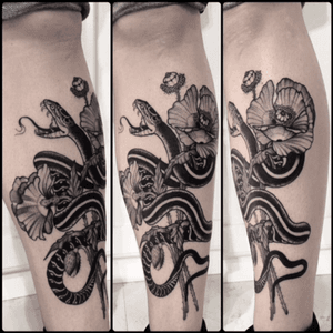 #black #snake #poppy #tattoo #blackwork #totemica #ontheroad 