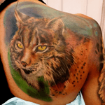 Custom color #Lynx cover-up shoulder blade piece. #realism #colorrealism #lynxtattoo #cat #cattattoo 