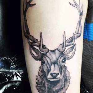 Cool stag i got done #stag #nature #blackandgrey 