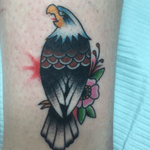 Made this tiny eagle on my girlfriend. 