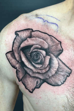 Rose chest and collar bone tattoo. Black and grey realistic.  Full shoulder cap in progress