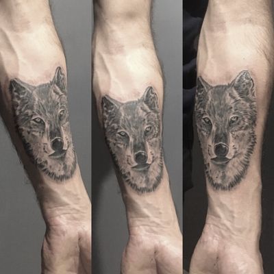 📌 İLETİŞİM RANDEVU İÇİN 📌İLT : 05300604113 📌TATTOOHOMEBURSA 📌WHATSAPP VE DM İLE FİYAT ALABİLİRSİNİZ1 #bursa #bursadayapılacak1000sey #gemlikdövme #dragonfly #mudanya #mudanyasahil #tattoohomebursa #tattoomagazine #tattooart #bursadayasam #bursafsm #bursabalat #bursaheykel #bursasetbaşı #istanbul #bursadövme #dövme #dövmemodelleri #bursadövmeci #coveruptattoo #linertattoo #vavtattoo #caligraphy #tattoomodel #tattoomachine #tattoomagazink #gemlik #gemliksahil #model