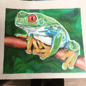 Realism frog