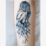 My first tattoo, I got it 4 years ago and I still love it. I don't believe in regretting tattoos if they have personal meanings to them. They become part of you, they ARE your skin, not just a tattoo. #owl #geometric #firsttattoo #knowledge #leftarm #forearm 