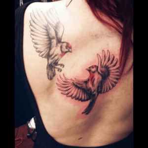 This is my first tattoo by Parker... #bird #animals #nature #first #tattoo #back #black #red 