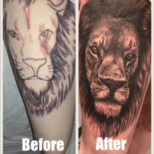 Cover up #portrait#coverup#lion#beforeandafter