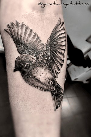 @garethdoyetattoos #sparrowtattoo #blackandgrey #tattoo #tattooartist #southafrica