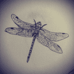 #design #tattoodesign #dragonfly #bugs 