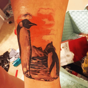 It's not totally done yet, but I'm so excited to have it! #Penguin #PenguinTattoo #selfharmrecovery