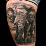 Tattoo by PeeWee Sinerco. #peewee #peeweesinerco #sinerco #elephant #elephanttattoo #realistictattoo #animaltattoo #bng #bngtattoo #blackandgraytattoo #blackandgreytattoo #tattoo #tattoos #tat #tats #tatts #tatted #tattedup #tattoist #tattooed #tattoooftheday #inked #inkedup #ink #tattoooftheday #amazingink #bodyart #tattooig #tattoosofinstagram #instatats #larktattoo