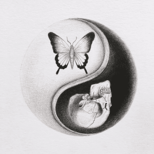 💀 #yingyang #blackAndWhite #butterfly #skull #draw #amateur #french #artist 